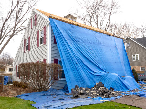 Best Same-Day Junk Removal Services  in Sparta, IL
